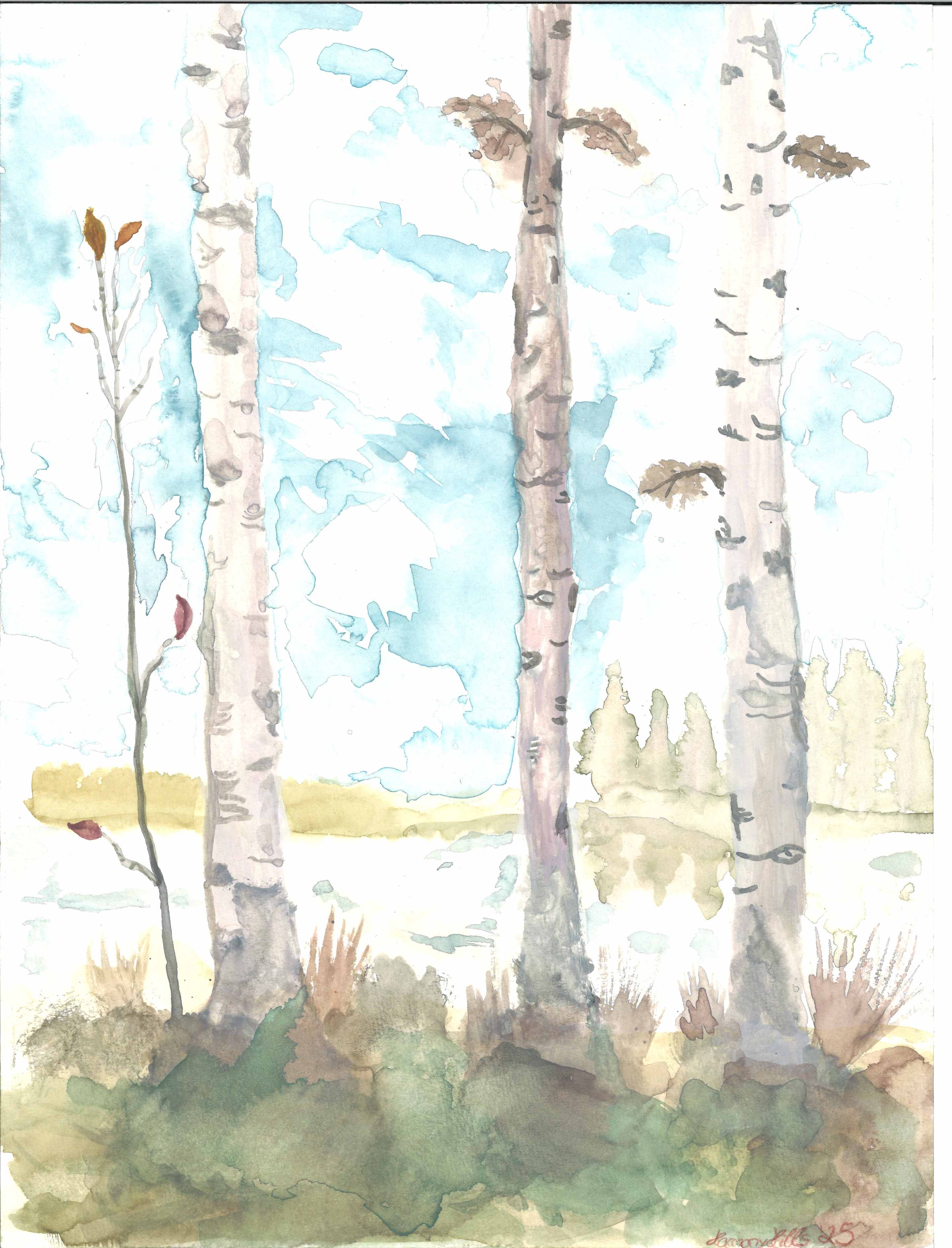 Aquarell Birken im Herbst - A4 Format